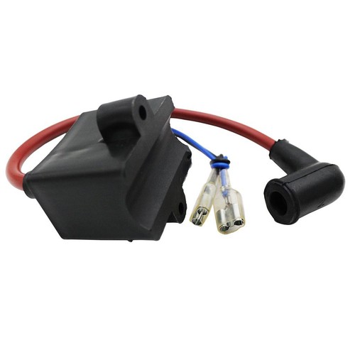 Electric kit 80cc - electric, 49/66/80cc